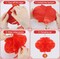 16 Pieces Chinese New Year Decorations Lanterns,10 Inch Red Paper Lantern Hanging for Celebration Chinese Spring Festival Decoration ,Chinese Party, Wedding and Restaurant,Asia home
